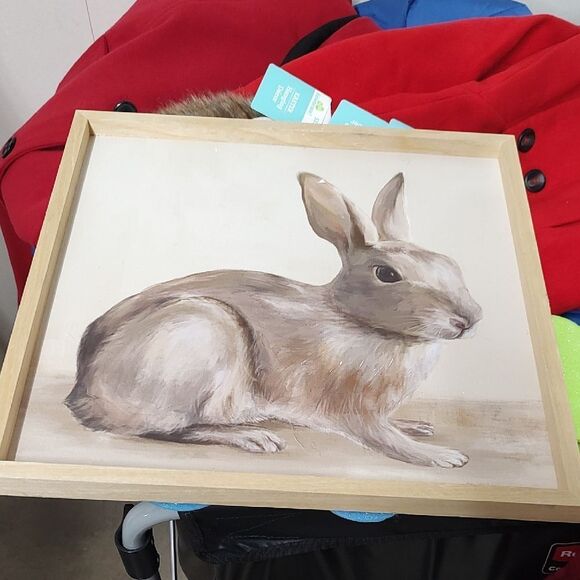 Framed Rabbit Art Print - Tan and Cream - Picture 1 of 1
